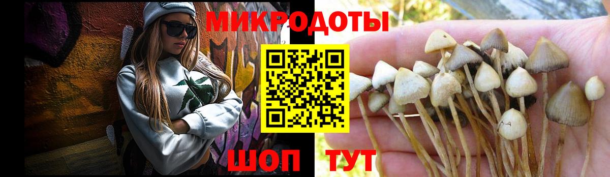 Галлюциногенные грибы прущие грибы  Галлюциногенные грибы мицелий  Кумертау  Вход с VPN 